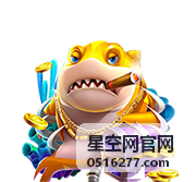星空网官网企业专线组网双线热备与故障切换结构